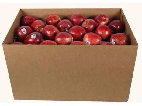 Apples - Red Delicious - Large 40lb Case - 113 Apples