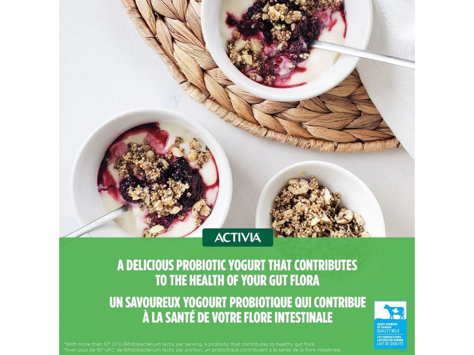 Activia Yogurt with Probiotics - Raspberry/Apple/Blackberry/Strawberry Flavour - Pack of 12 x 100g - MB Grocery