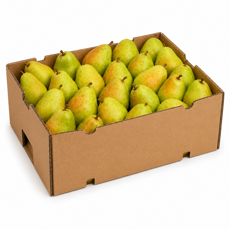 Pear - Anjou - Large 40lb Case