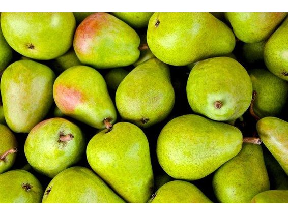 Pear - Anjou - Large Case - 110 Pears