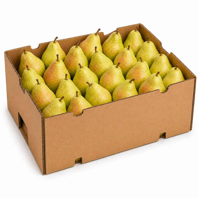 Pear - Bartlett - Large 40lb Case