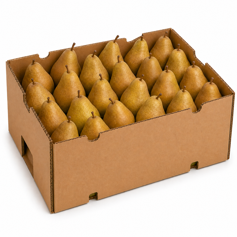 Pear - Bosc - Large 40lb Case