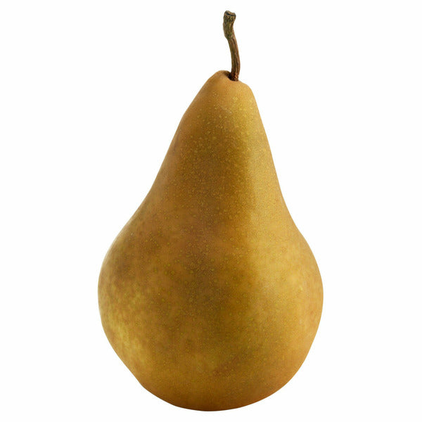Pear - Bosc - Large 40lb Case — Miller & Bean Coffee Company