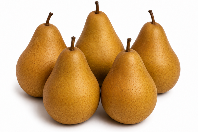 Bosc Pears - Pack of 5