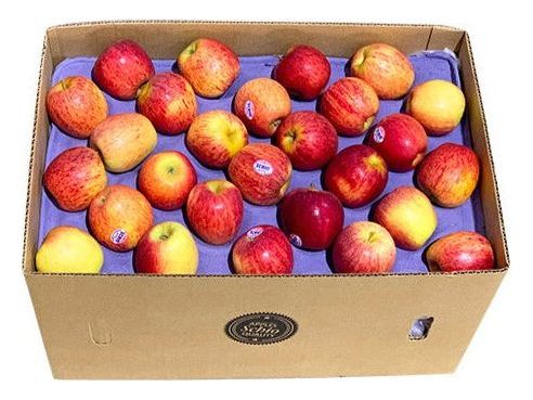 Apples - Royal Gala - Large 40lb Case - 113 Apples — Miller & Bean