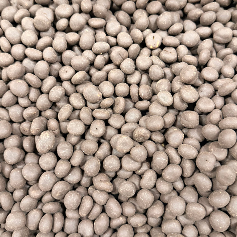 Dark Chocolate Toasted Corn Salted - Bulk for Dispenser