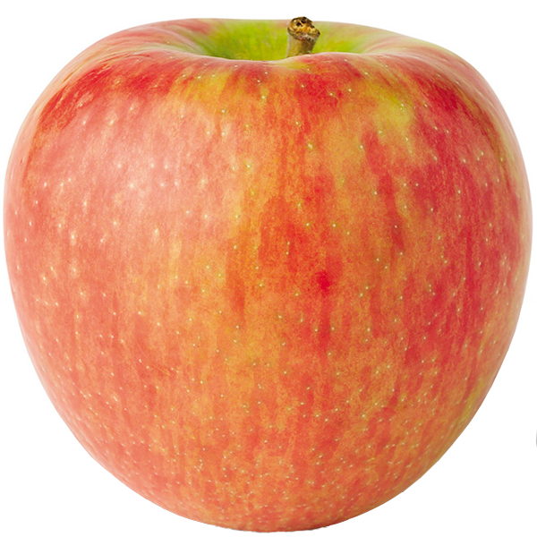 Apples - Honeycrisp - Bag of 6