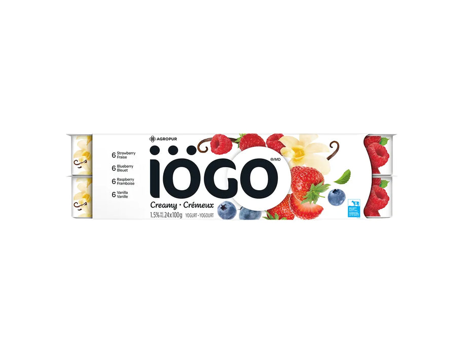 IOGO Creamy 1.5% - Strawberry, Raspberry, Blueberry, Vanilla - Pack of 24 x 100g _ Miller & Bean