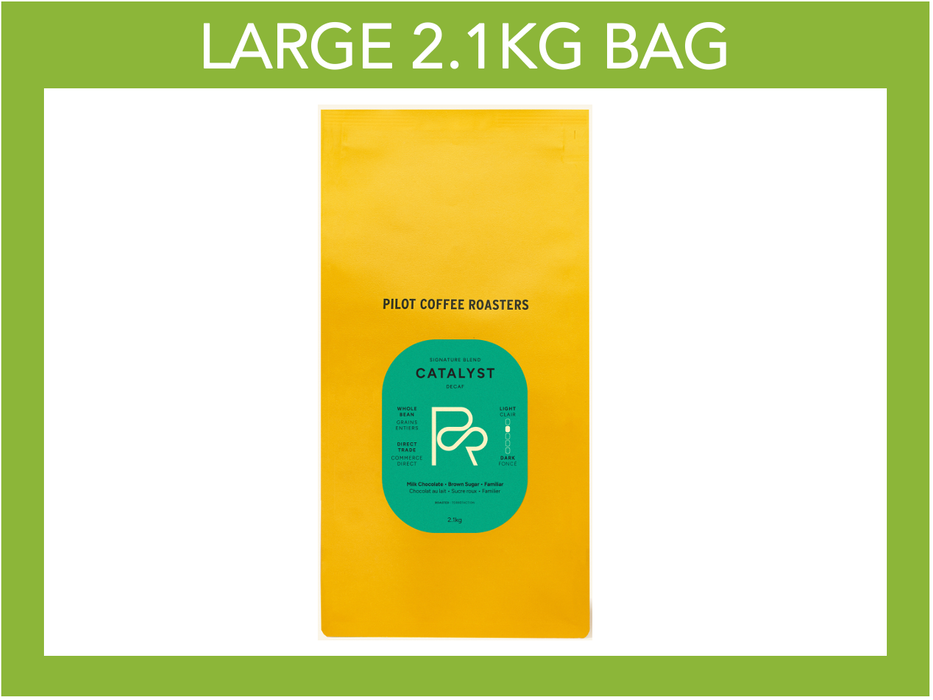 Pilot Coffee Roasters - Catalyst Decaf Blend - 2.1kg Large Bag