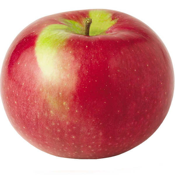 Apples - McIntosh - Bag of 6
