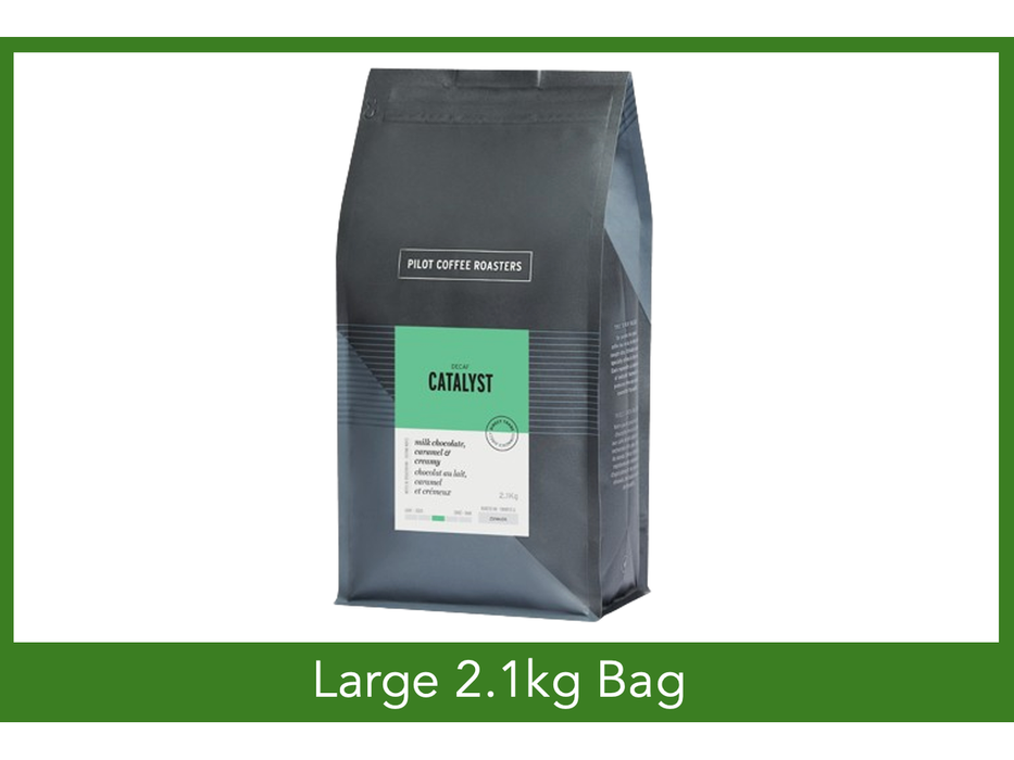 Pilot Coffee Roasters - Catalyst Decaf Blend - 2.1kg Large Bag