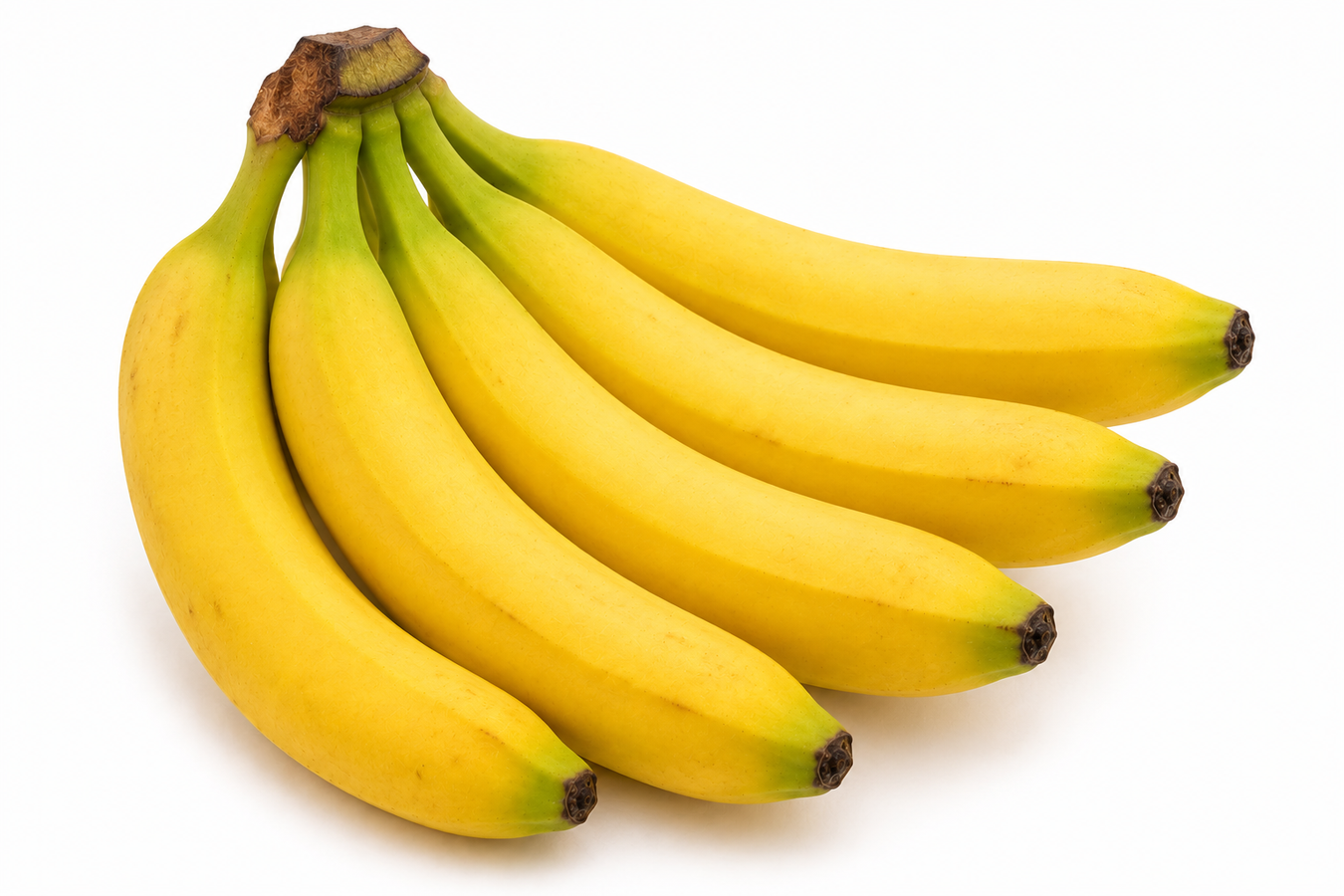 Fruit
