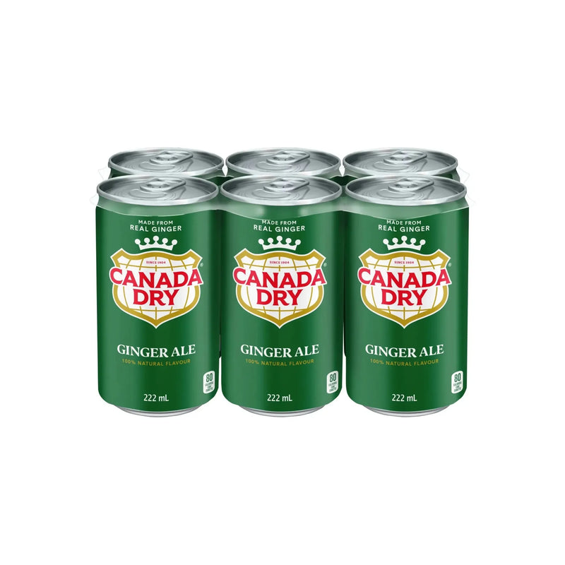 Mini - Cans - Ginger Ale - 6 x 222ml - Miller & Bean Coffee Company
