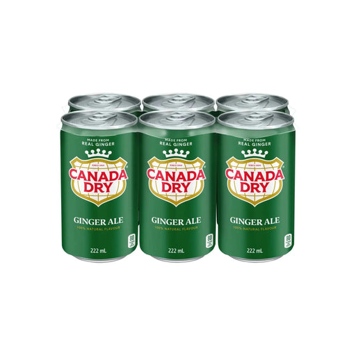 Mini - Cans - Ginger Ale - 6 x 222ml - Miller & Bean Coffee Company