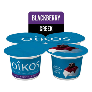 OIKOS Greek Yogurt - Blackberry Flavour - Pack of 4 x 100g - Miller & Bean Coffee Company