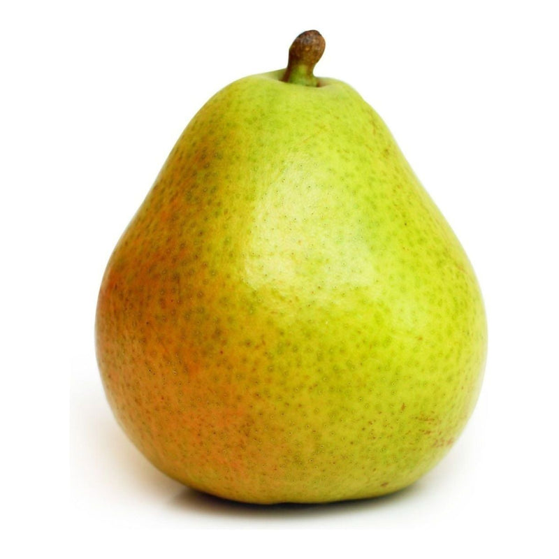 Pears - Forelle - Bag of 6 - Miller & Bean Coffee Company