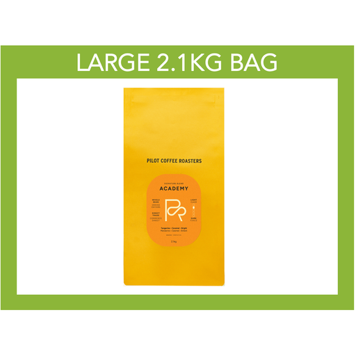 Pilot Coffee Roasters - Academy Blend - 2.1kg Large Bag - Miller & Bean Coffee Company