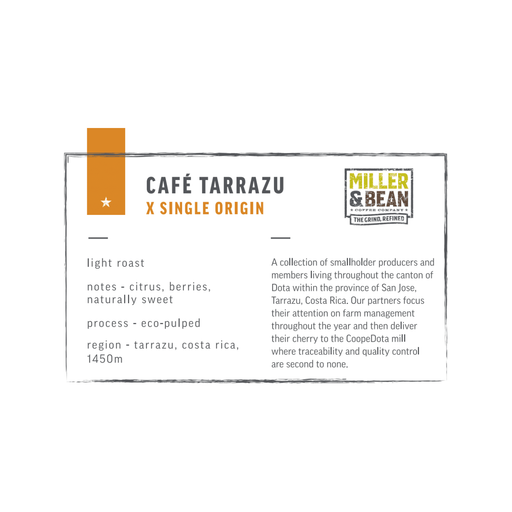Coffee Beans - Miller & Bean Premium Collection - Cafe Tarrazu - Light - 1lb Bag - Miller & Bean Coffee Company