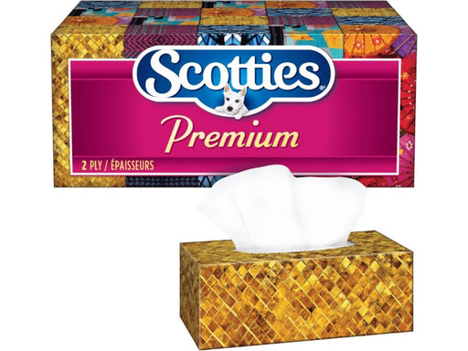 Facial Tissue 2 Ply - 10 Boxes - MB Grocery