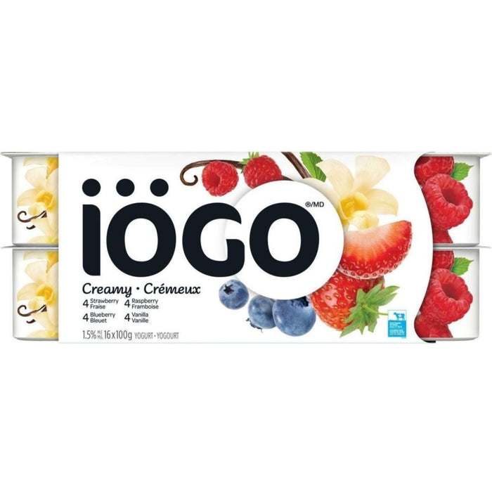 IOGO Creamy 1.5% - Strawberry, Raspberry, Blueberry, Vanilla - Pack of 16 x 100g - Miller & Bean Coffee Company