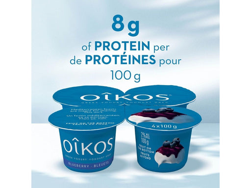 OIKOS Greek Yogurt - Blueberry Flavour - Pack of 12 x 100g - MB Grocery